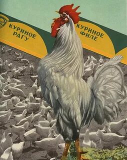 Кур куль