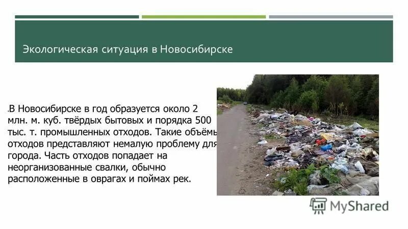 Экологические проблемы Новосибирской области. Проблемы города Новосибирска. Сайт экологии новосибирской