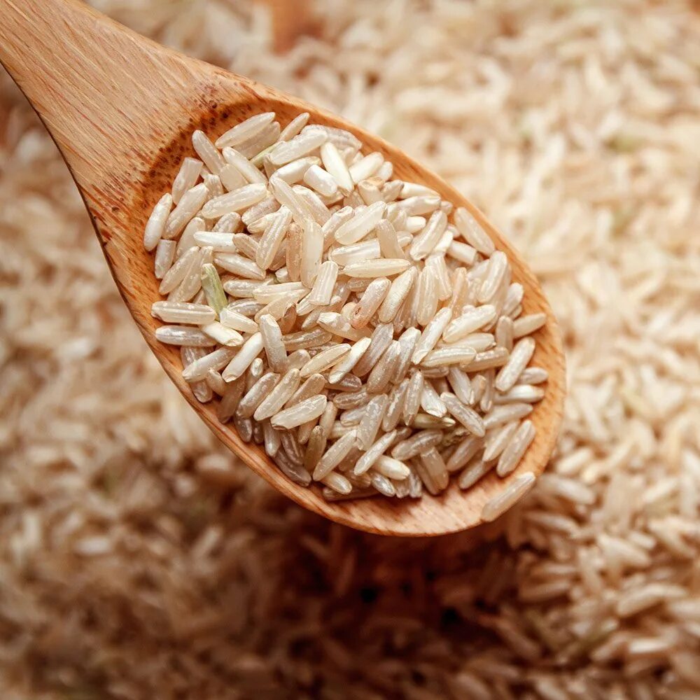 Рис и бурый рис разница. Рис бурый нешлифованный. Рис басмати бурый. Коричневый нешлифованный рис. Рис басмати коричневый.