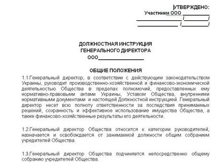 Должностная инструкция исполнительный директор образец