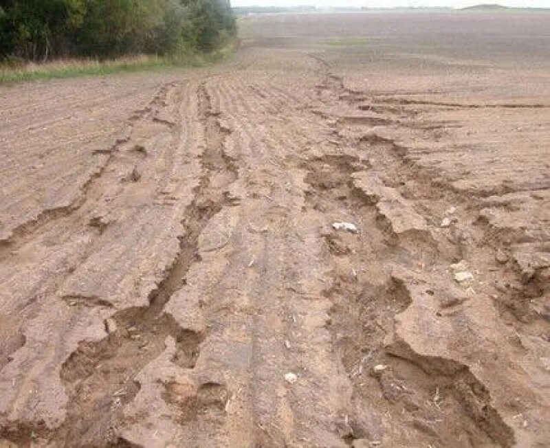 Размываемая почва. Плоскостная водная эрозия. Водная и Ветровая эрозия. Плоскостная эрозия почв. Плоскостная водная эрозия почв.