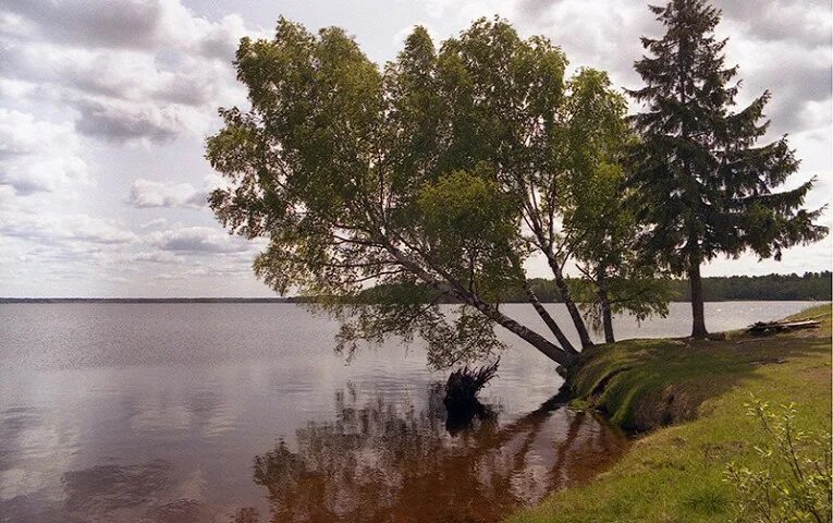 Парки новгородской области. Валдайский национальный парк. Национальный парк «Валдайский»   озера Ильмень!. Валдайский заповедник Новгородской области.