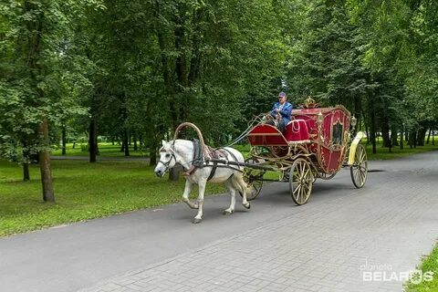 Брестская область парк