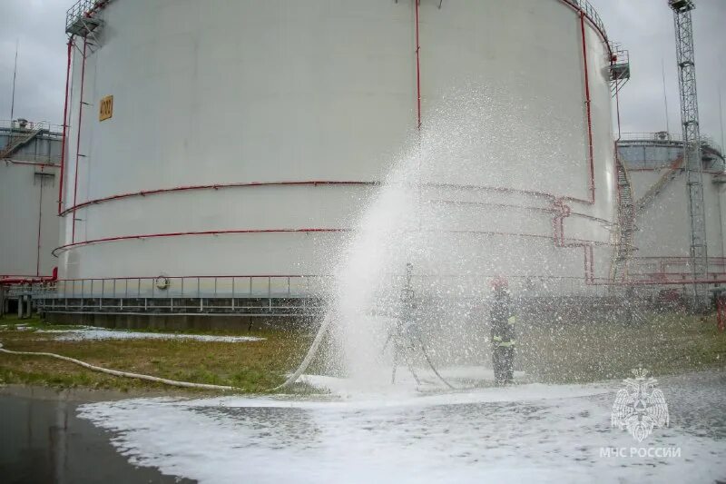 План морского порта санкт-петербург. Порты санкт-петербурга на карте. Пнт петербургский нефтяной терминал. Ао петербургский нефтяной терминал. Нефтеналивной терминал васильева.