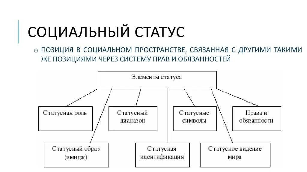 Обязанности статусов