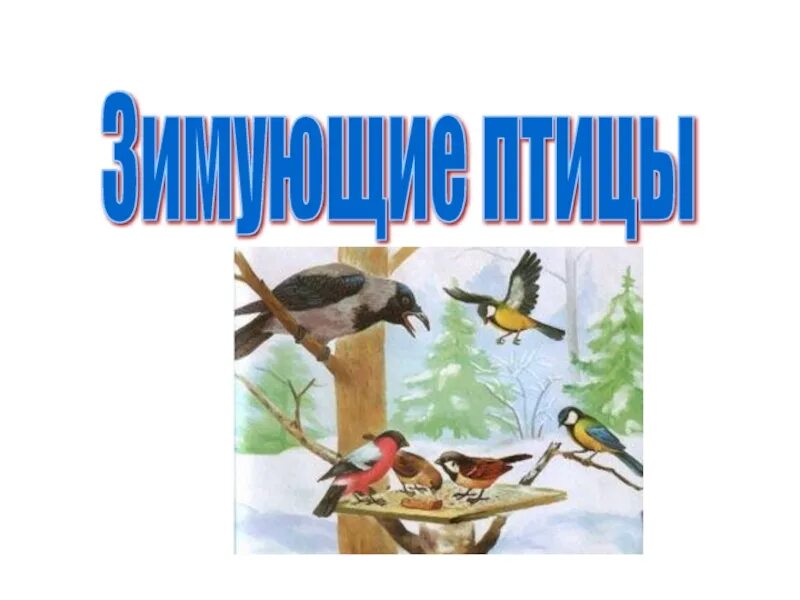 Альбом зимующие птицы. Зимующие птицы титульник. титульный лист зимующие птицы. зимующие птицы для титульника. zimuyushchie-ptitsy_c9b46.pptx.