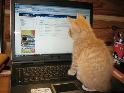 Capcat для компьютера
