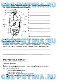 Тпо по биологии 8