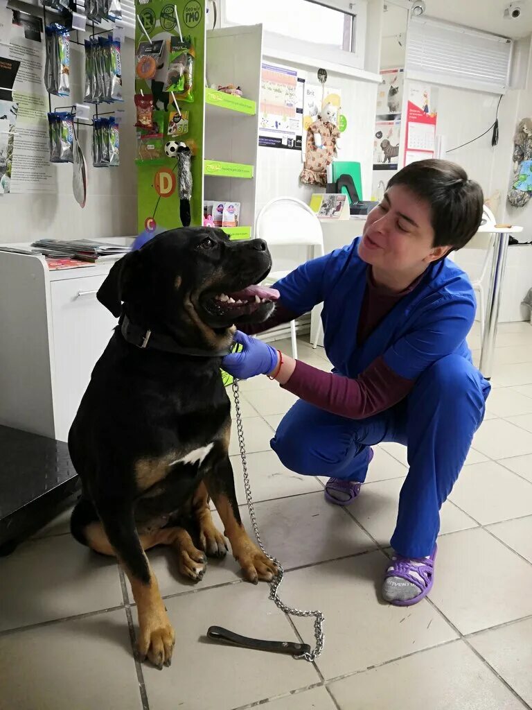 Ставропольская ветлечебница. Галиуллина 11 ветклиника. Круглосуточная ветеринарная клиника ставрополь. Ставропольская ветлечебница. Доваторцев, 86/1.