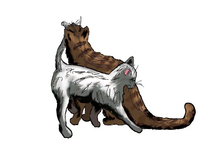 Коты воители вики модели. Коты воители пиксели. Коты воители вики лайн. Коты воители пиксели. Коты воители пиксели.