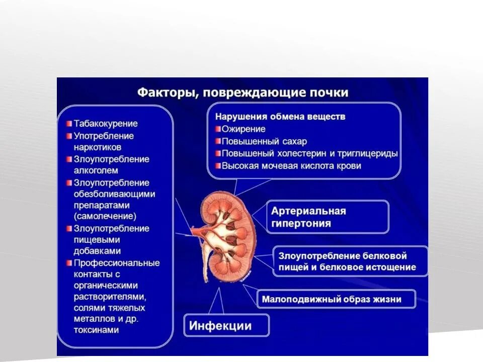 Как проверить болят ли почки. Перечислить хронические заболевания почек. факторы повреждающие почки. хроническая почечная недостаточность презентация. расположение конкрементов в почках.