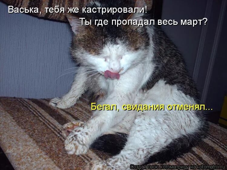 Иди ко мне обниму. Ты где пропал. Картинка нету. Куда все подевались фото. Картинка нету.