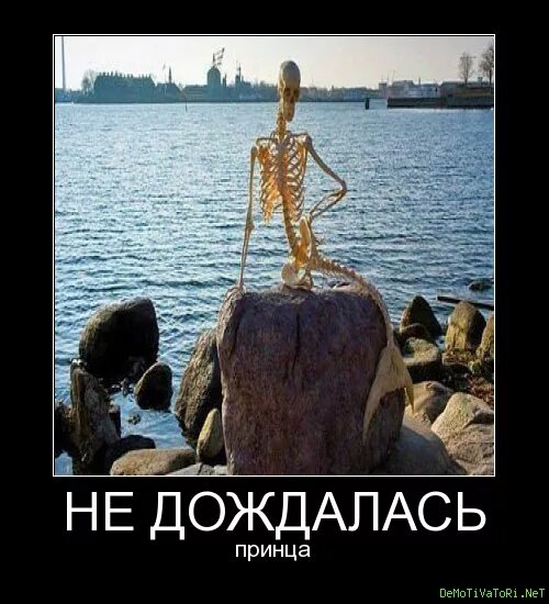 Мадс миккельсен с бокалом. Ужин. Мадс миккельсен с алкоголем. Не дождавшись ужина. Обед картинки прикольные.