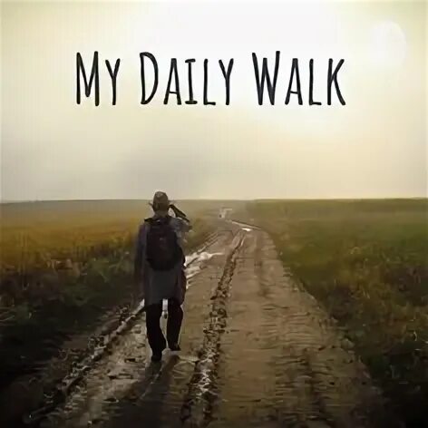 Daily walk. Daily walk. Вудкрафт. Tyndale bible. The health benefits of walking.