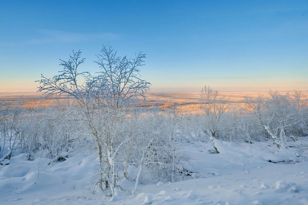 Бескрайнее зимнее поле. Колыма. Колыма зимние фотографии. Зима на Колыме фото. Колыма танечка