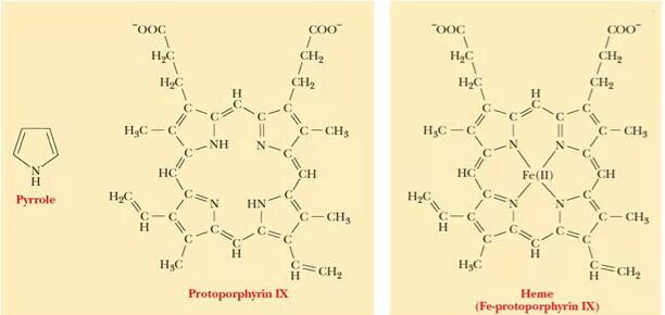 Протопрфин 9 формула структурная. Структура гем протопорфирин 9. Копропорфириноген. Протопорфирин 9 формула.