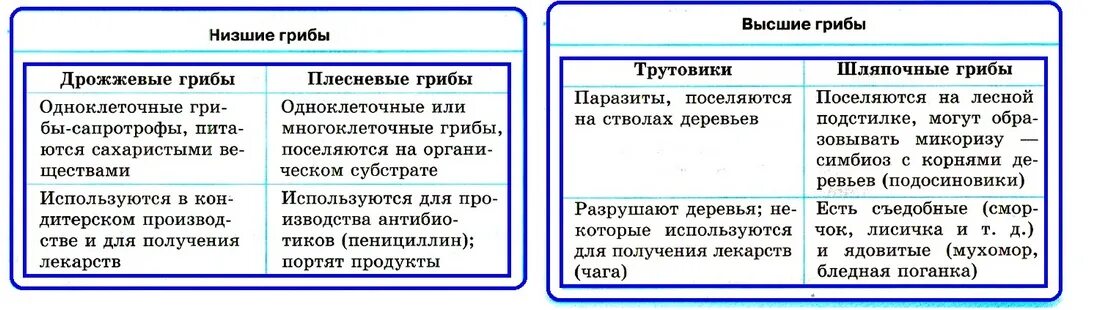 Различия были выше. Отличие высших грибов от низших таблица. Отличие высших грибов от низших грибов. Особенности низших грибов. Высшие и низшие грибы отличия.