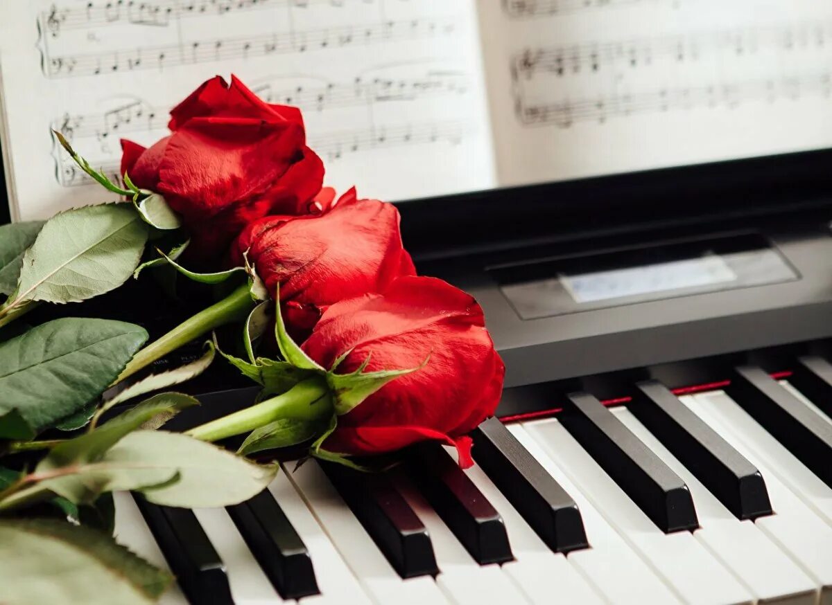 Рояль с цветами. Цветы на пианино. Пианино. Фортепиано красивое.