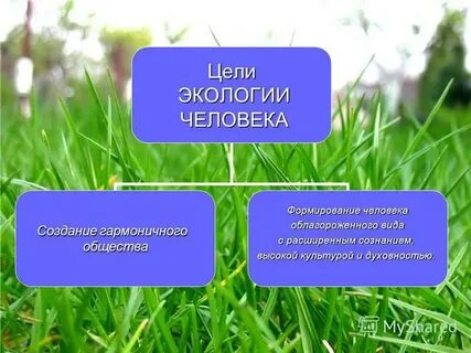 Окружающая среда медицинской организации
