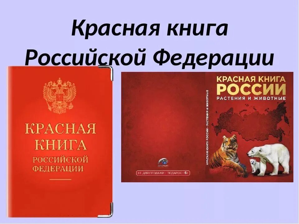 Красная книга. Красная книга России. Красная книга РФ. Красная книга обложка.