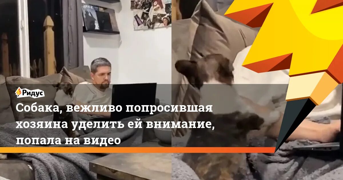 Попадает под внимание