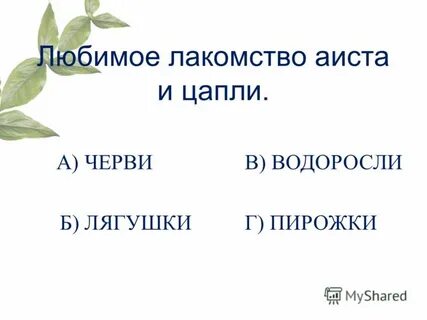 Любимое лакомство аистов