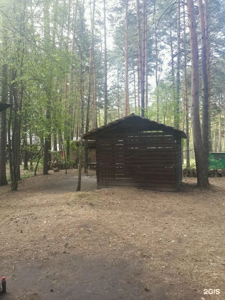 Заельцовский парк Новосибирск беседки. Заельцовский парк беседки с мангалом. Заельцовский парк беседка 23. Сибиряк Заельцовский парк. Беседка заельцовский