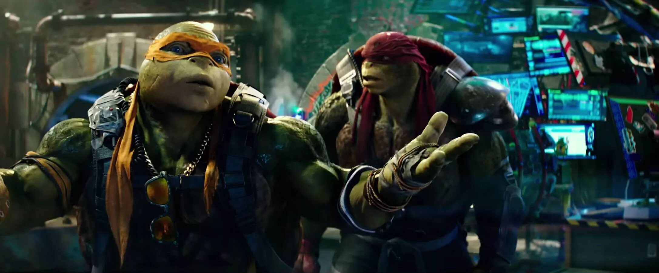 Turtles 2 in 1