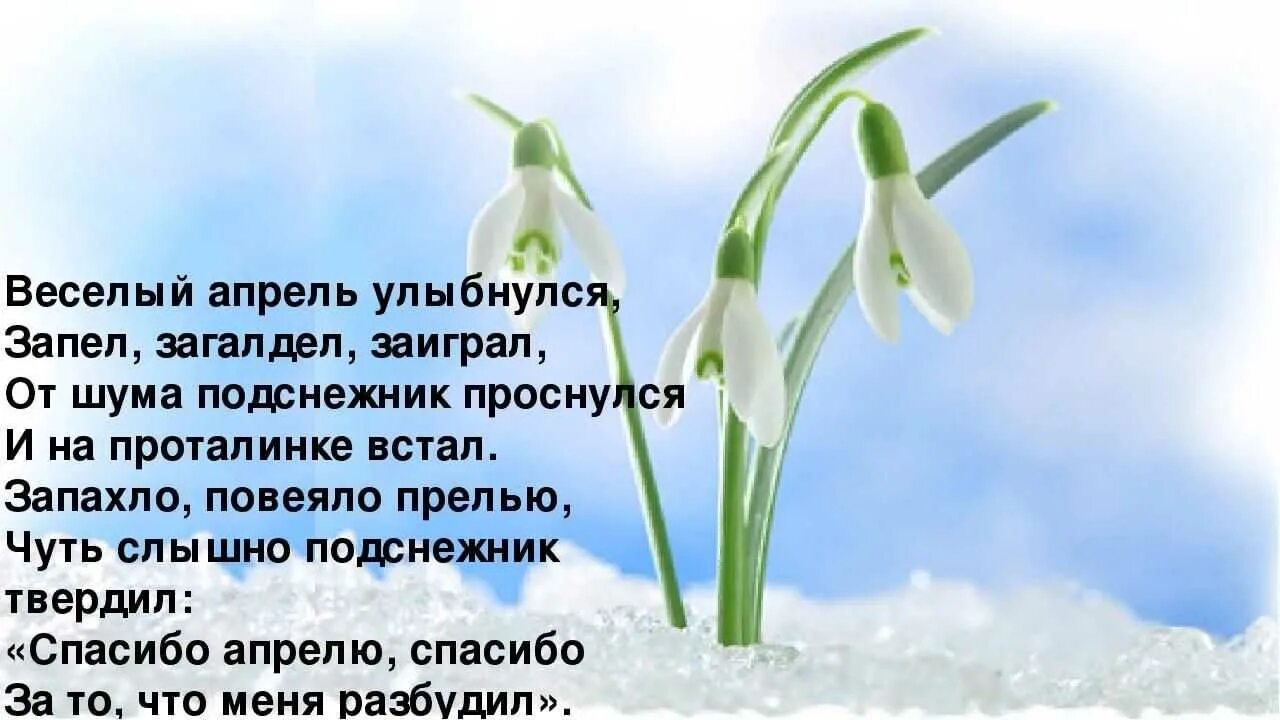 Стихи про апрель. Всемирный день подснежника 19 апреля. Веселый апрель улыбнулся запел. Мероприятия к Дню подснежника. Стихи про апрель красивые