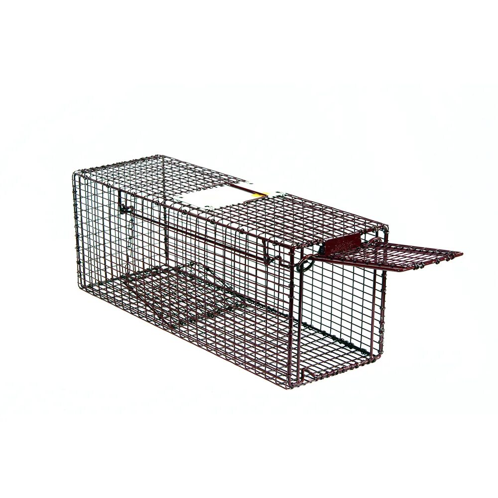 Крысоловка-клетка (ловушка). Animal trap. Animal trap. Animal trap. Ловушки для диких животных.
