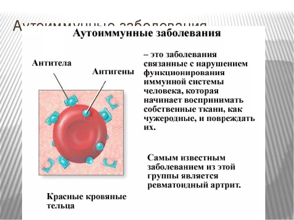 Аутоидные заболевания. Аутоиммуннызаболевания. Аутоиммунные заболевания. Аутоиммун не заболевания. Частые аутоиммунные заболевания