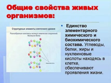 Общие свойства живых организмов это