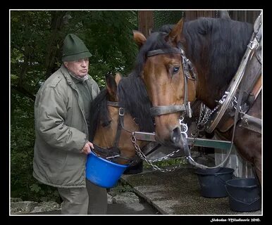 Feeding up