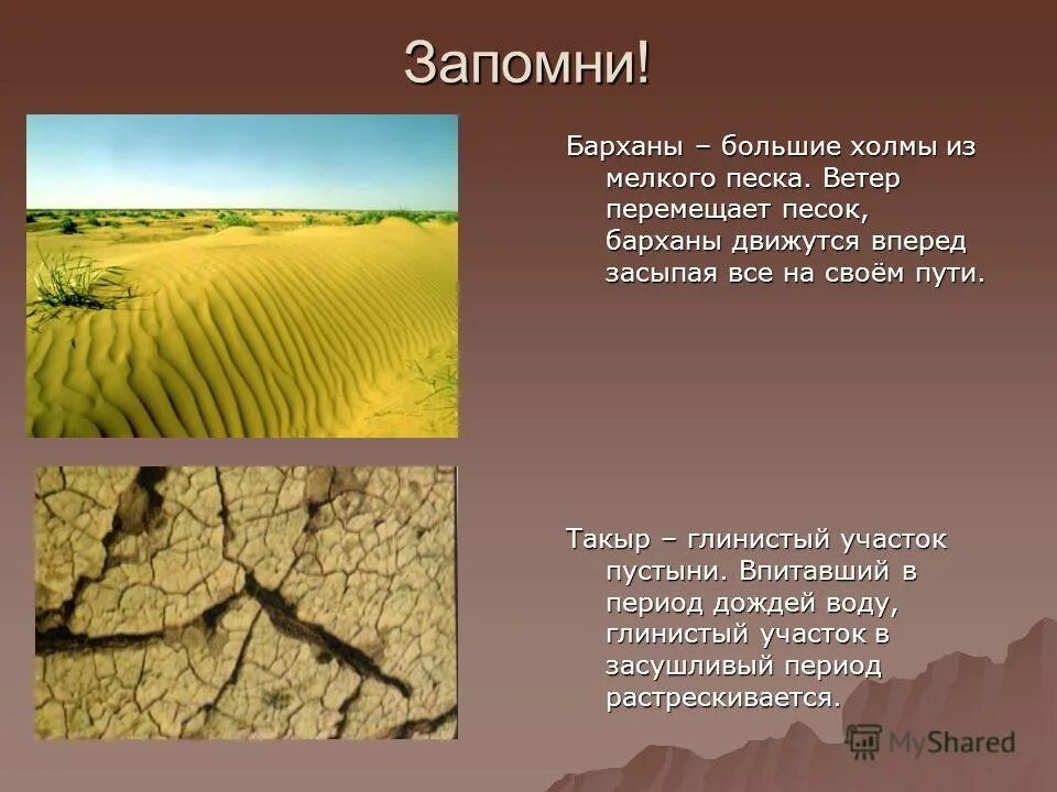 Песок и глина какая природная зона. Природная зона песок и глина. Для этой природной зоны характерны песок и глина. Для этой природной зоны характерна Пески и глина. Природная зона песок и глина в России.