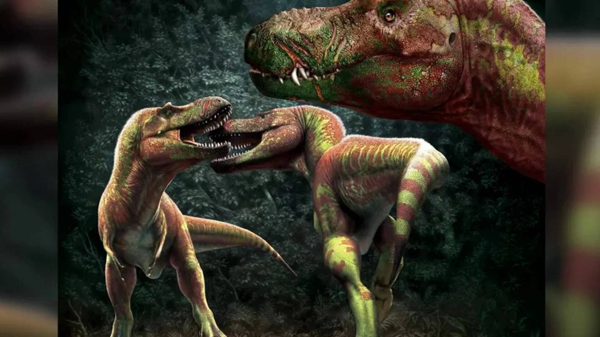 Горгозавр Тираннозавр. Горгозавр и рекс. Julius Csotonyi. Горгозавр против тиранозавра. Что убило динозавров