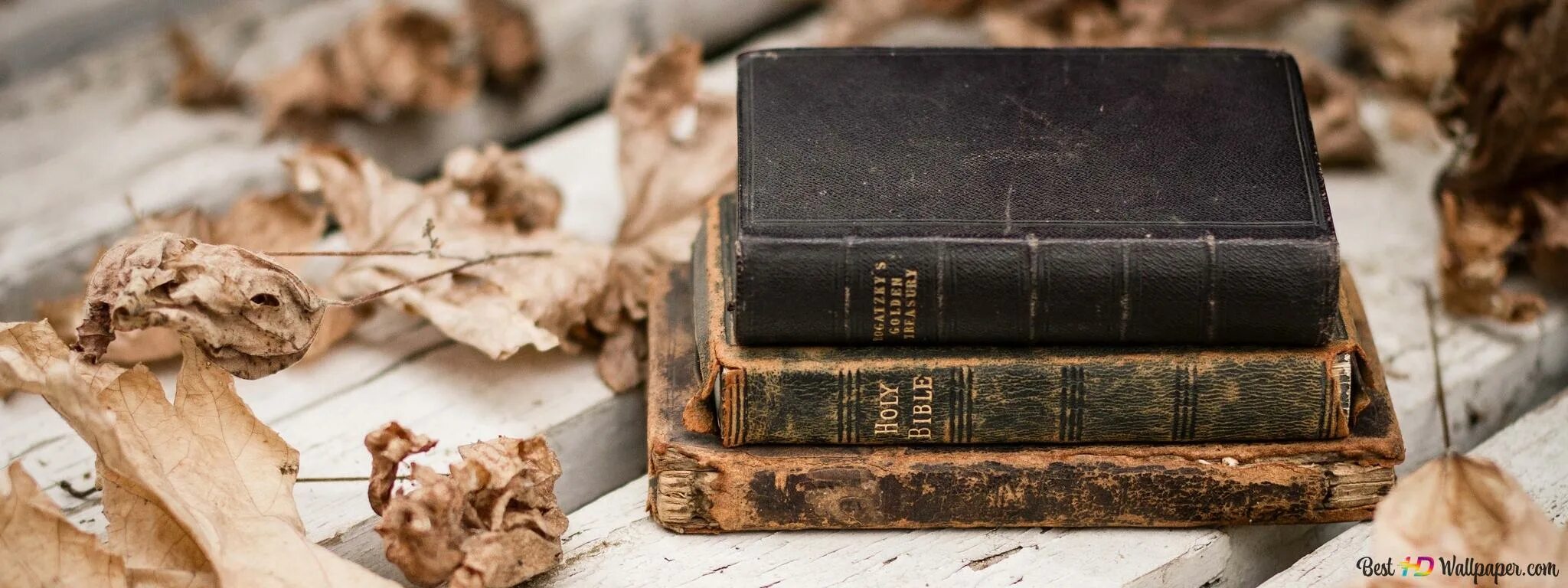 Старая книжка. Эта старая книга всегда будет нова. Эта старая книга всегда будет нова. Иллюстрации старинных книг. Эта старая книга всегда будет нова.