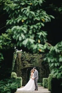 Weddywood