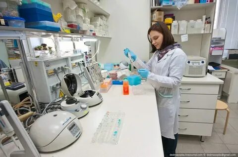 Институты москвы биология химия
