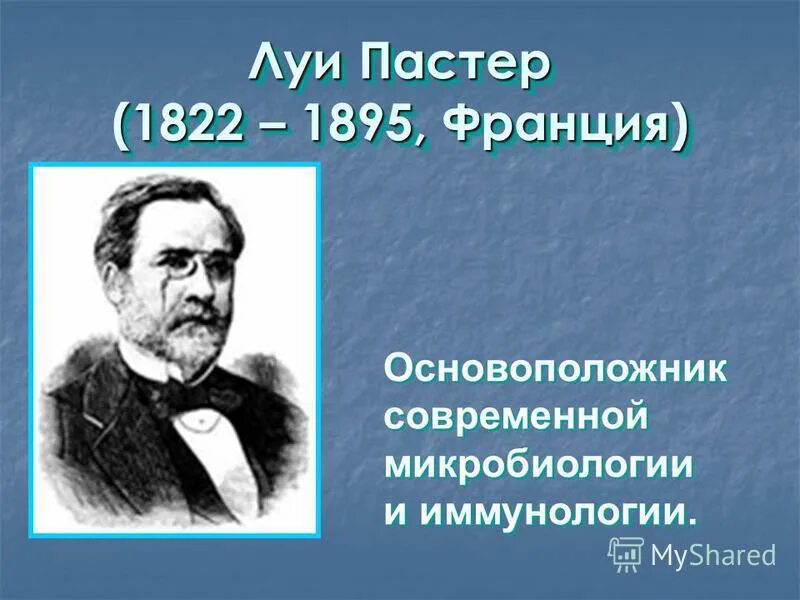 Луи пастер основоположник научной микробиологии и иммунологии. Роберт кох вклад в развитие микробиологии. Открытия луи пастера в микробиологии и иммунологии. Основоположники асептики в россии являются. Основоположник микробиологии кох.