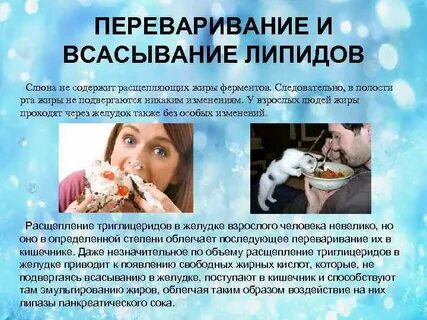 Слюна жир