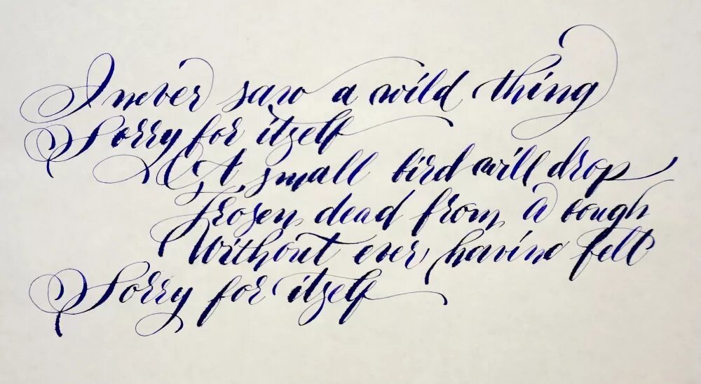 каллиграфия русский алфавит. церковнославянская вязь шрифт. кириллица пером. каллиграфия трафарет. кириллица пером.