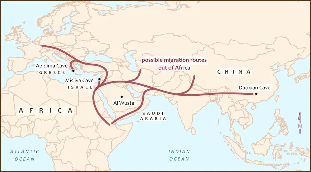 Asia force. Азия как человек.