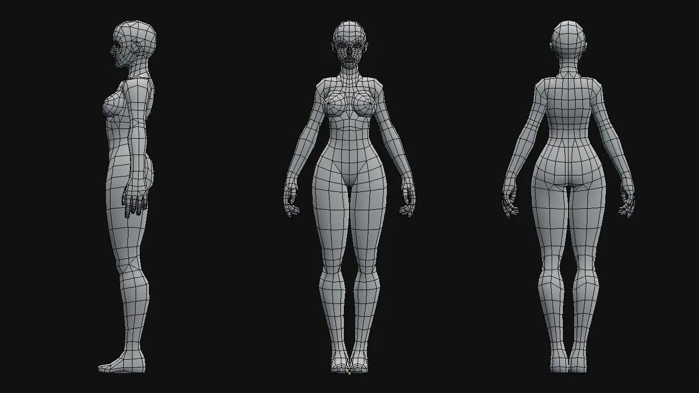 Модель человека фотографиям. 3ds Max моделирование персонажа. Референс для 3д моделирования Blender. Модель человека для моделирования. Тело женщины для моделирования.