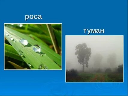 Какое явление названо красивым словом роса