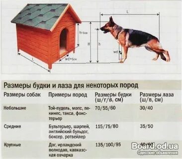 Лаз в будку размеры