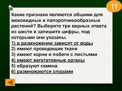 Выберите три верных признака
