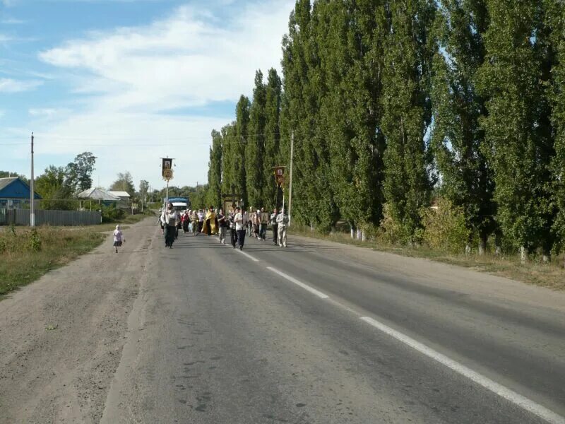 воронежская поселок ольховатка. ольховатка ольховатский район карта. ольховатка (ольховатский район). рабочий посёлок ольховатка. поселок ольховатка воронежской области.