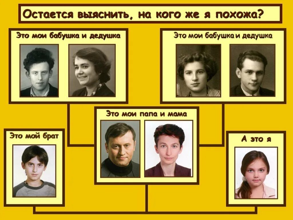 Я на кого я похож из знаменитостей. Я на кто похож на актера. На кого я похож по фото. На какую личность я похож. На какую знаменитость похожа.