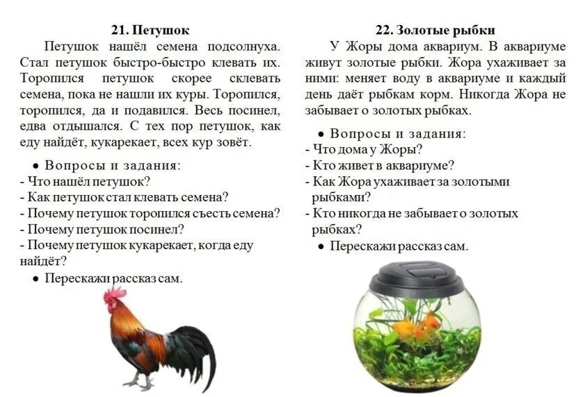 Смысловое чтение 5 класс задания с ответами