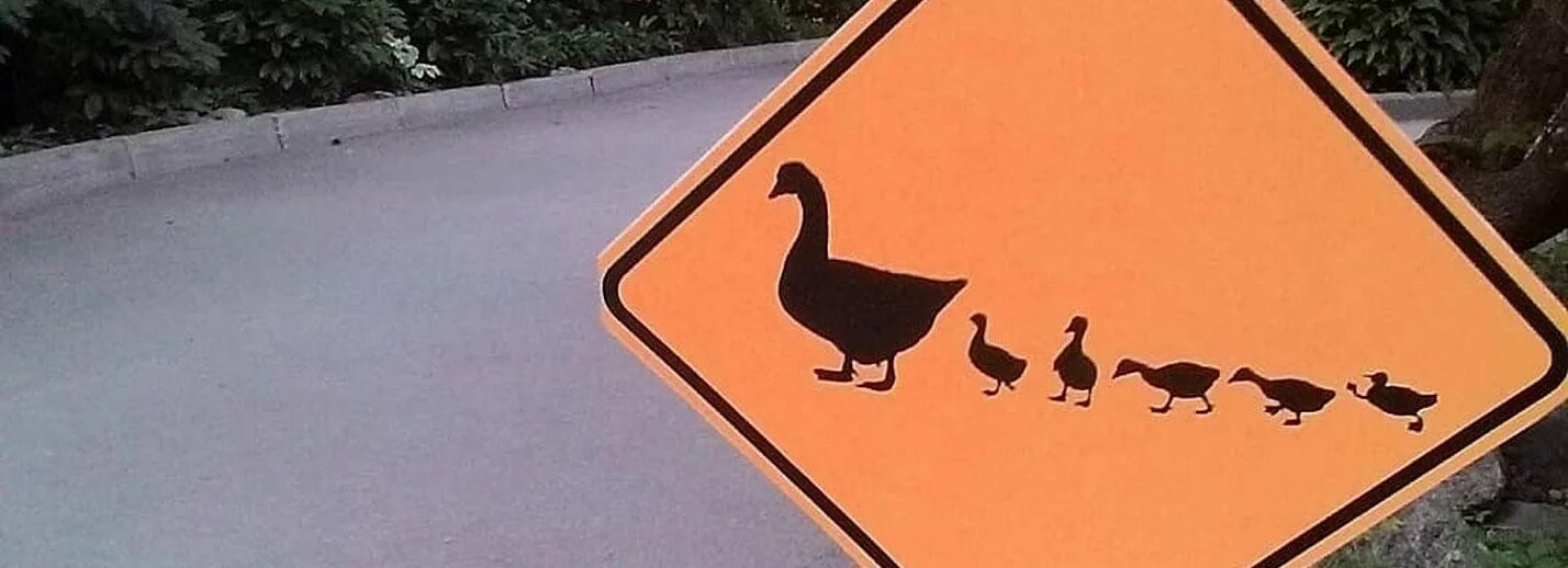 Знак с утками. Дорожный знак с утками. Знак утка с утятами. Дорожный знак утка с утятами. Знак осторожно Дикие утки.
